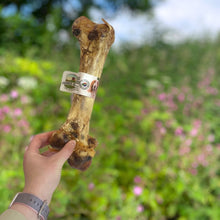 Load image into Gallery viewer, Dog bone treat held by a hand with a blurred natural background
