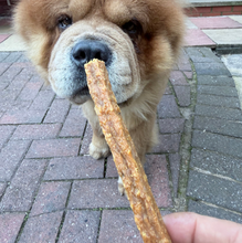 Load image into Gallery viewer, Dog holding a treat in its mouth on a brick pavement
