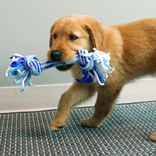 Load image into Gallery viewer, KONG Rope Ball Puppy Large Blue
