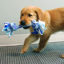 Load image into Gallery viewer, KONG Puppy Rope Ring Blue
