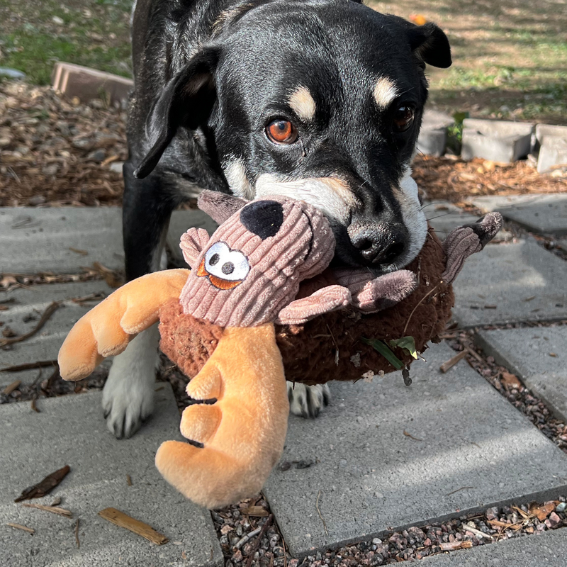 Stuffed moose dog toy online