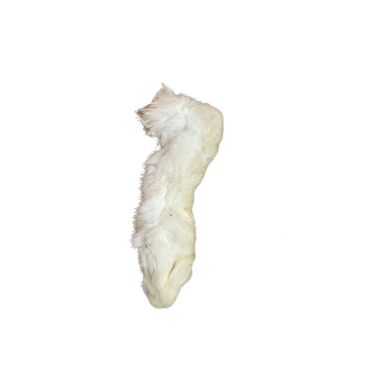 White fur rabbit foot on a white background