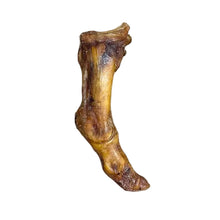 Load image into Gallery viewer, one dried animal bone on a white background
