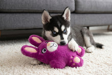 Load image into Gallery viewer, KONG Snuzzles Bunny
