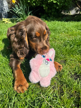 Load image into Gallery viewer, KONG Snuzzles Kiddos Bunny Small

