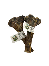 Load image into Gallery viewer, Nova Paddock Farm Ostrich Large Tibia Bone
