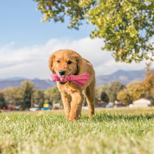 Load image into Gallery viewer, KONG Puppy Wubba Blue
