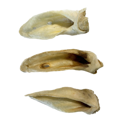 Three White Lamb Ears on a white background