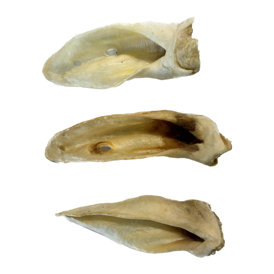 Three White Lamb Ears on a white background