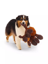 Load image into Gallery viewer, Bark Harry Potter Aragog Dog Toy
