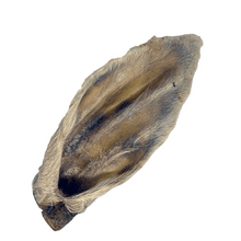Load image into Gallery viewer, Anco Hairy Lamb Ear
