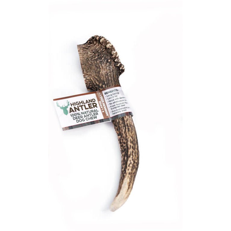 Antos Nova Highland Antler Extra Large