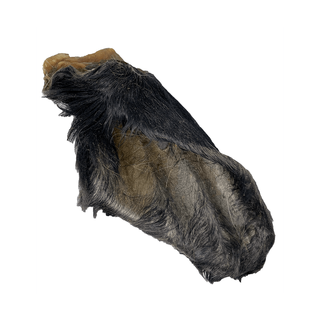 Hairy Beef Cow Ear