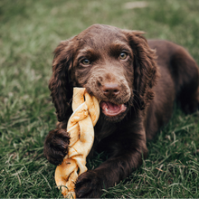 Load image into Gallery viewer, Dog chewing on a rope toy in a grassy field
