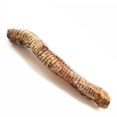 A single, large moo tube dog chew treat made from buffalo, with a natural, brown color and ribbed texture.