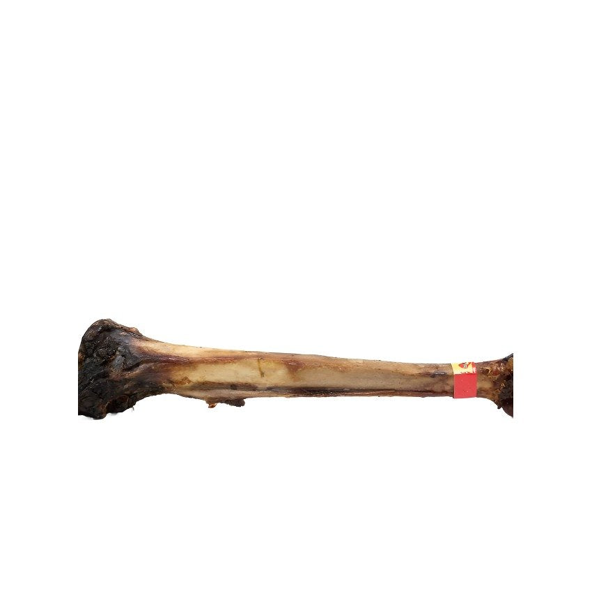 Antos Nova Paddock Farm Ostrich Caveman Bone 50cm