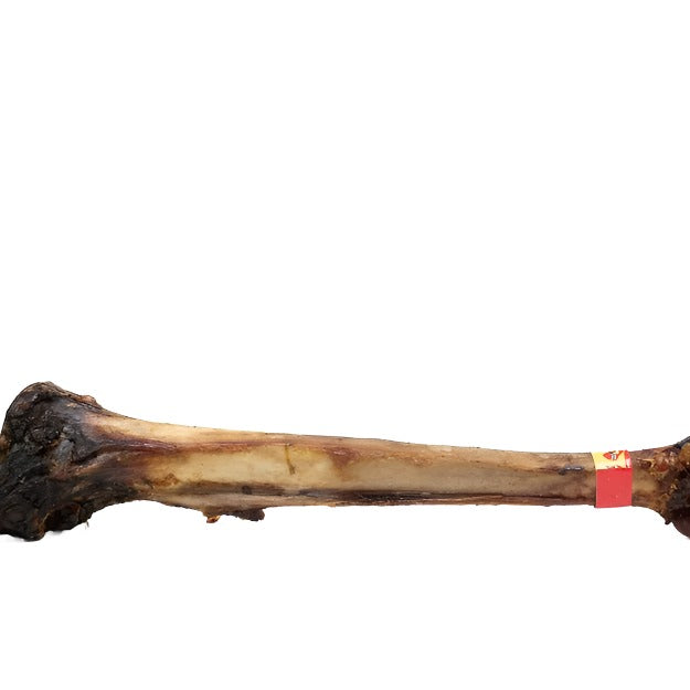 Antos Nova Paddock Farm Ostrich Caveman Bone 50cm