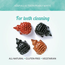 Load image into Gallery viewer, Three Antos Cerea Hedgehog Large on a white background with text about teeth cleaning.
