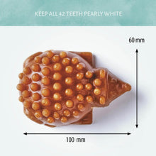 Load image into Gallery viewer, Antos Cerea Hedgehog Large with measurements on a white background
