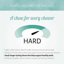 Load image into Gallery viewer, Dog chew product description with hardness levels on a light blue and white background
