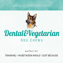 Load image into Gallery viewer, Advertisement for Dental &amp; Vegetarian Dog Chews with a German Shepherd illustration on a light blue background.
