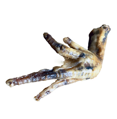 Dried chicken foot, intended as a treat for dogs, showing typical wear and color variation.