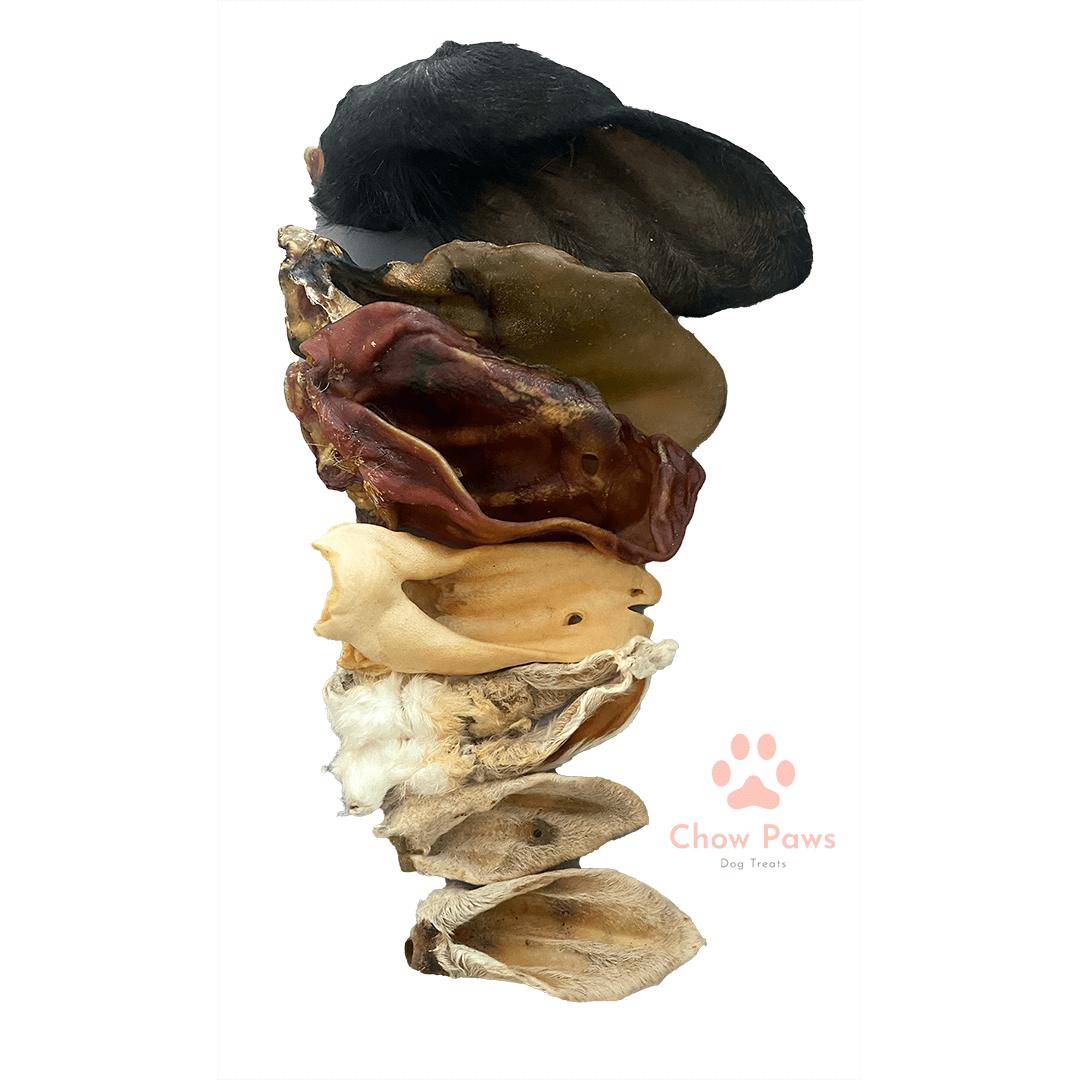 Stack of various DRIED DOG chews EARS on a white background with 'Chow Paws' branding.
