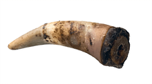 Load image into Gallery viewer, Anco Naturals Cow Horn
