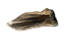 Load image into Gallery viewer, Anco Hairy Goat Ear
