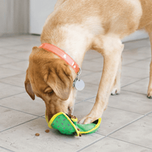 Load image into Gallery viewer, dog-playing-with-kong-ballistic-hide-_N_-treat-green-mat
