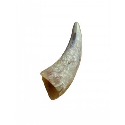 Anco Naturals Empty Cow Horn