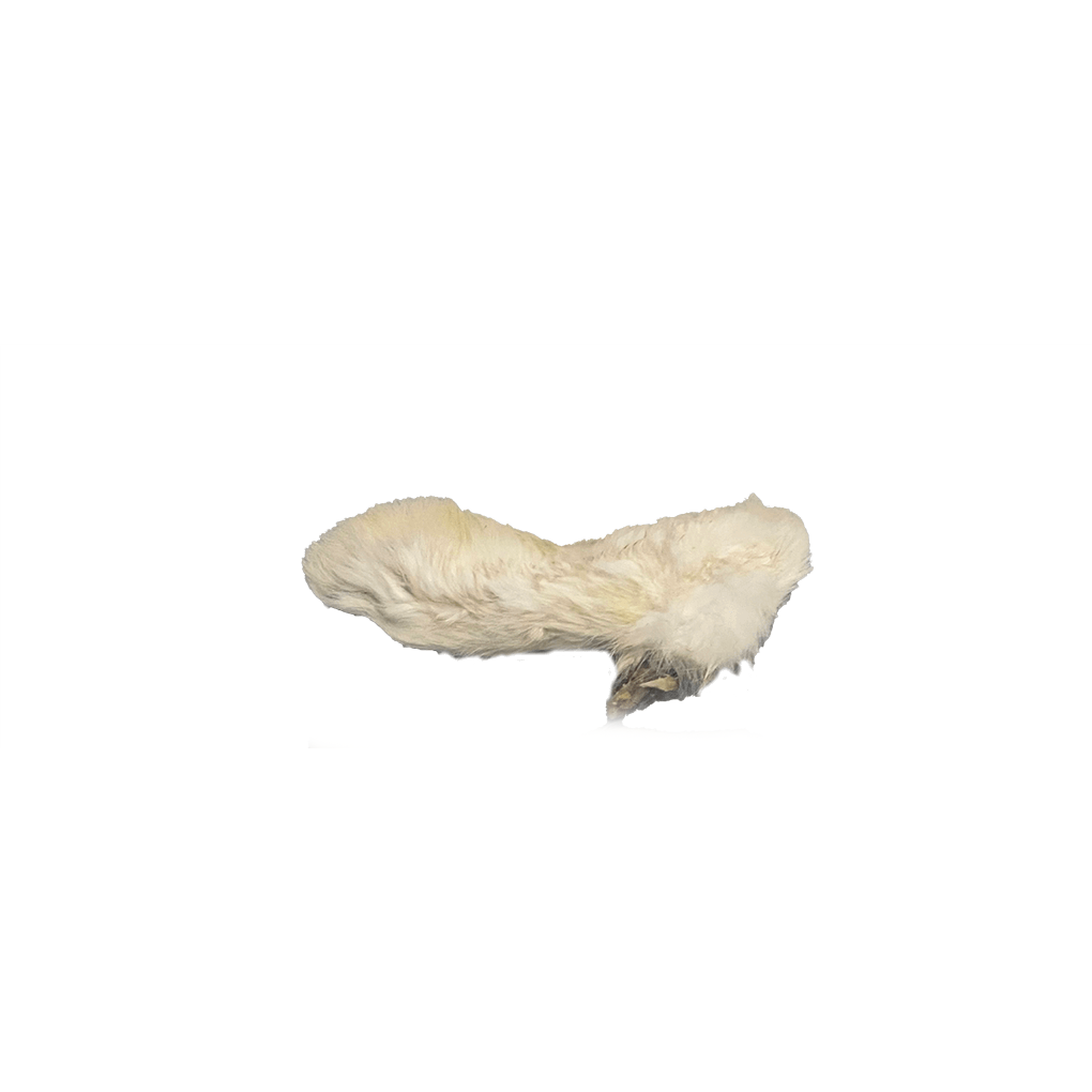 Rabbit Foot
