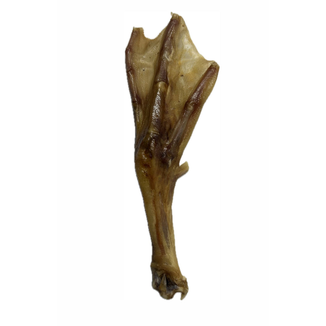 Goose Foot