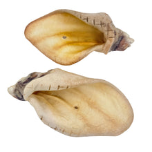 Load image into Gallery viewer, Two beige honey cow ears on a white background
