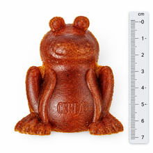 Load image into Gallery viewer, Antos Cerea Frog chew close-up with ruler showing 70mm scale – textured ridged surface detail for dental chewing

