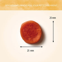 Load image into Gallery viewer, Nova Dog Christmas Cracker
