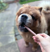 Load image into Gallery viewer, Dog holding a treat in its mouth with a blurred background
