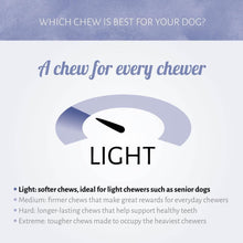 Load image into Gallery viewer, Nova Antos Mixed Mini Bones Pack 500g
