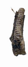 Load image into Gallery viewer, Beef Trachea Moo Tube 20cm
