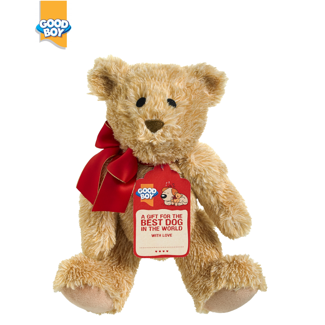 Good Boy Christmas Gift Bear