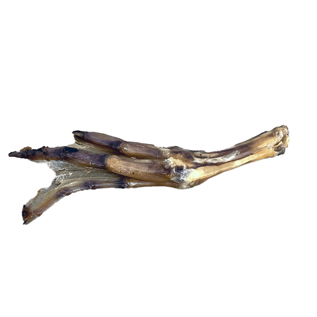 Duck Foot