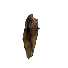 Load image into Gallery viewer, Dried Buffalo Ear on a white background
