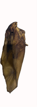 Load image into Gallery viewer, Large Buffalo Ear
