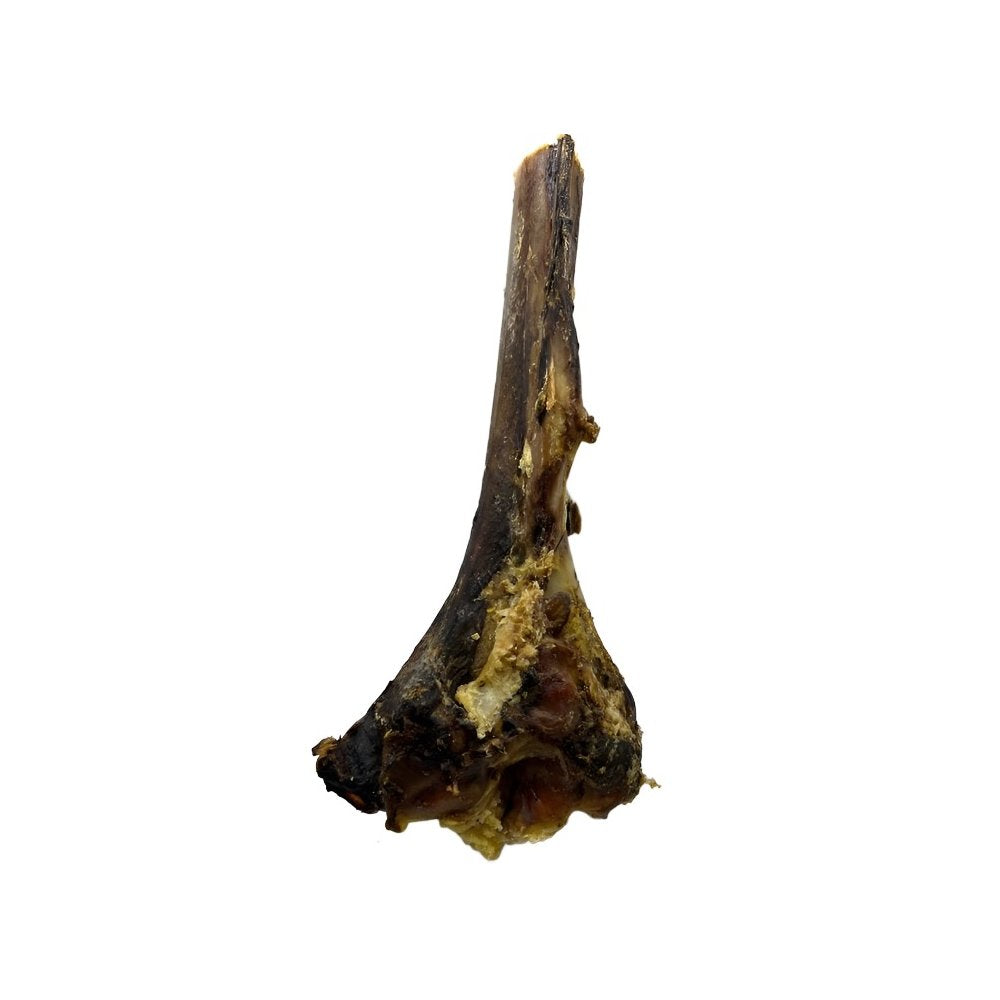 Nova Paddock Farm Ostrich Large Tibia Bone