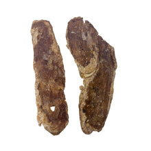 Load image into Gallery viewer, two Anco Naturals Beef Udder Steaks dog chews on a white background
