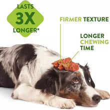 Load image into Gallery viewer, Dog with a chew toy on its head, featuring text about chew time and texture.
