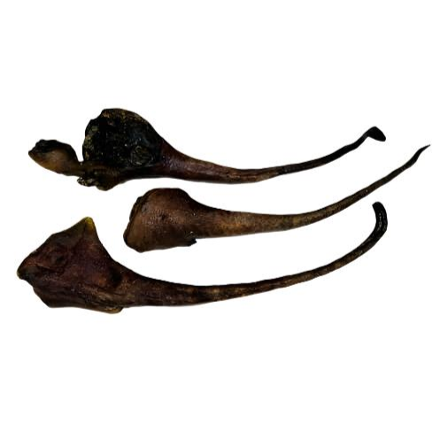 Wild Boar Tails 100g
