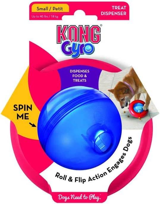 kong-gyro-interactive