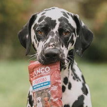 Load image into Gallery viewer, Anco Duck Fusions Training Dog Treats 100g
