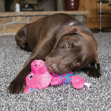 Load image into Gallery viewer, brown-dog-with-pink-pig-toy
